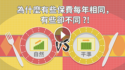 動畫預覽圖