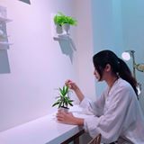 頭像