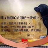 頭像