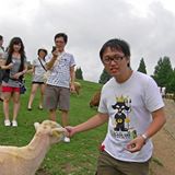 頭像