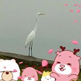 頭像