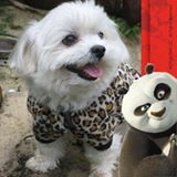 頭像