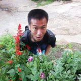 頭像