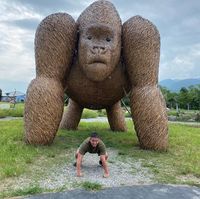 頭像