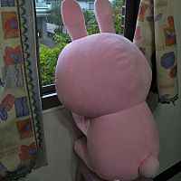 頭像
