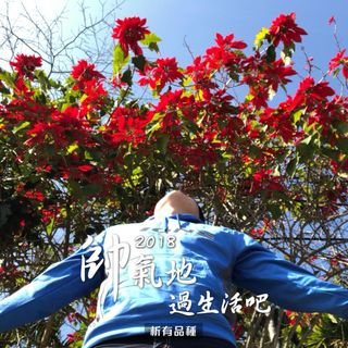 頭像