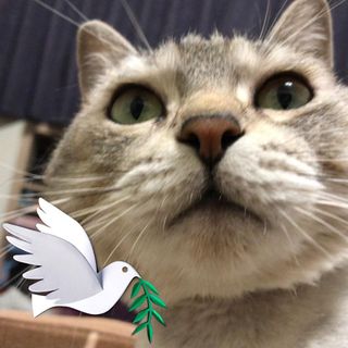 頭像