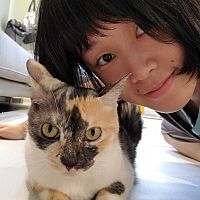 頭像