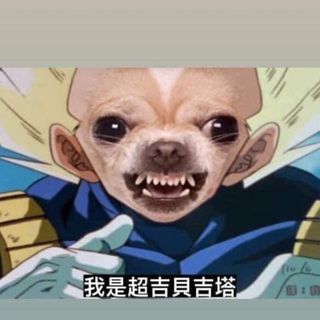 頭像