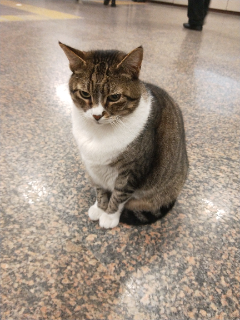 頭像