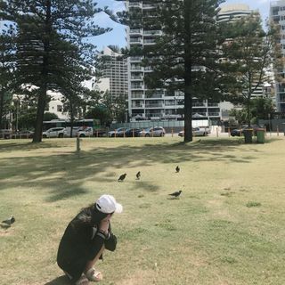 頭像
