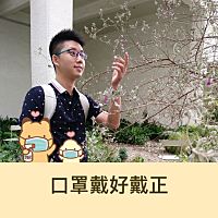 頭像