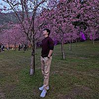 頭像