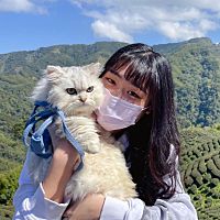 頭像