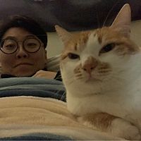 頭像