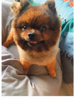 頭像