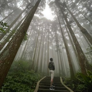 頭像