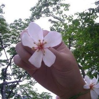 頭像