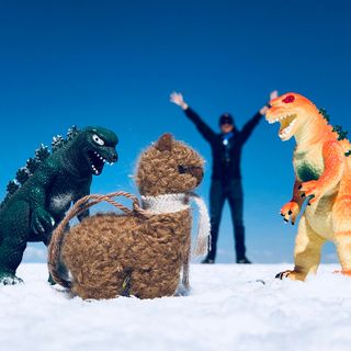 頭像