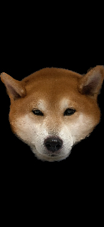 頭像
