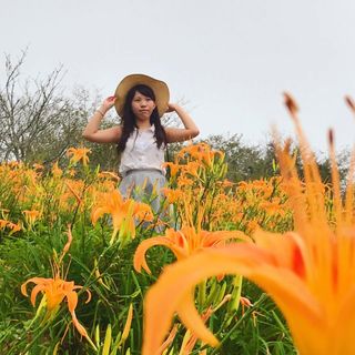 頭像