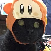 頭像