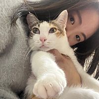 頭像
