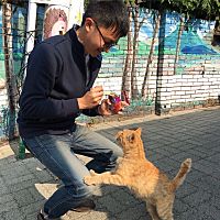頭像