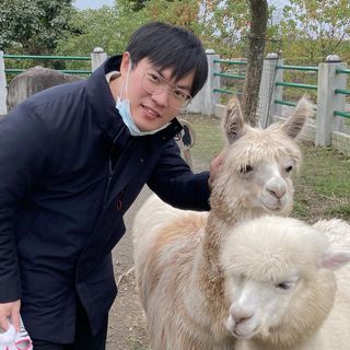 頭像