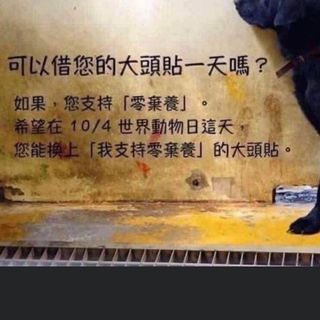 頭像