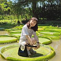 頭像