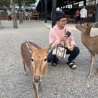 頭像