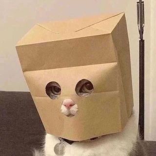 頭像