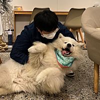頭像