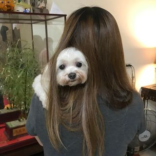 頭像