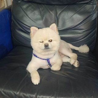 頭像