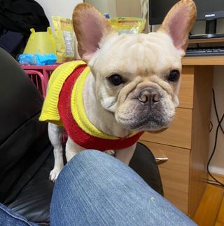頭像