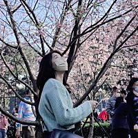 頭像