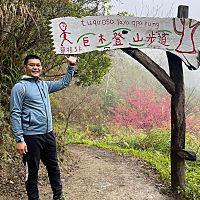 頭像