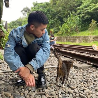 頭像