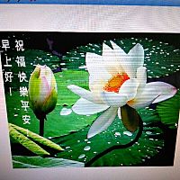 頭像