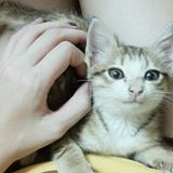 頭像