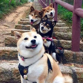頭像