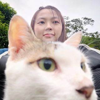頭像