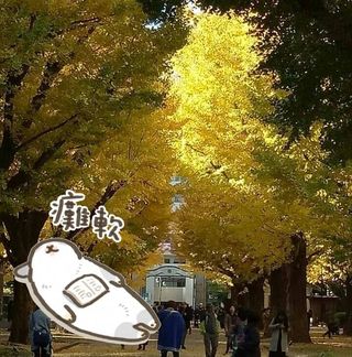 頭像