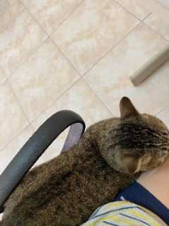 頭像