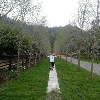 頭像