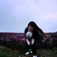頭像