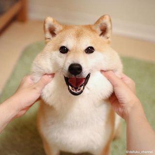 頭像