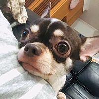 頭像